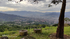 Casa de Lujo en el Alto de Las Palmas en Venta con la Mejor Vista a Medellin